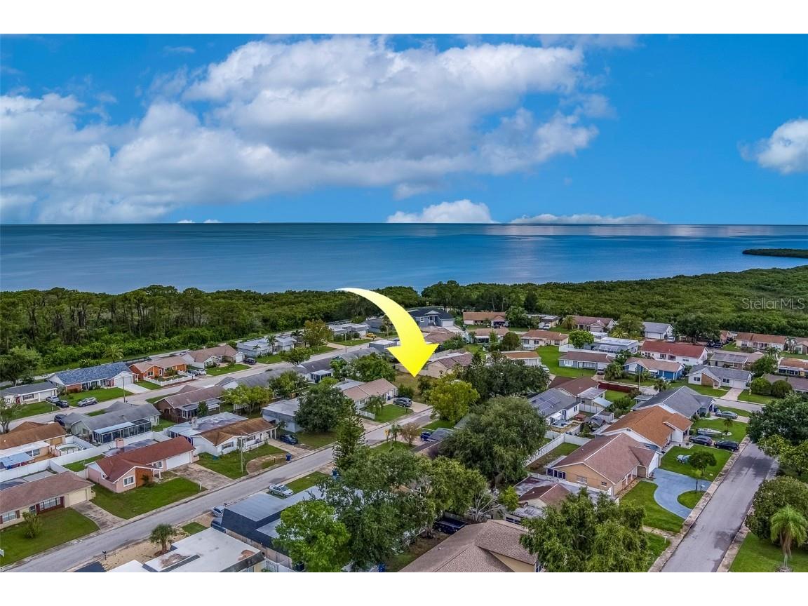 3631 Rockaway Drive Holiday FL 34691 TB8408932 image15