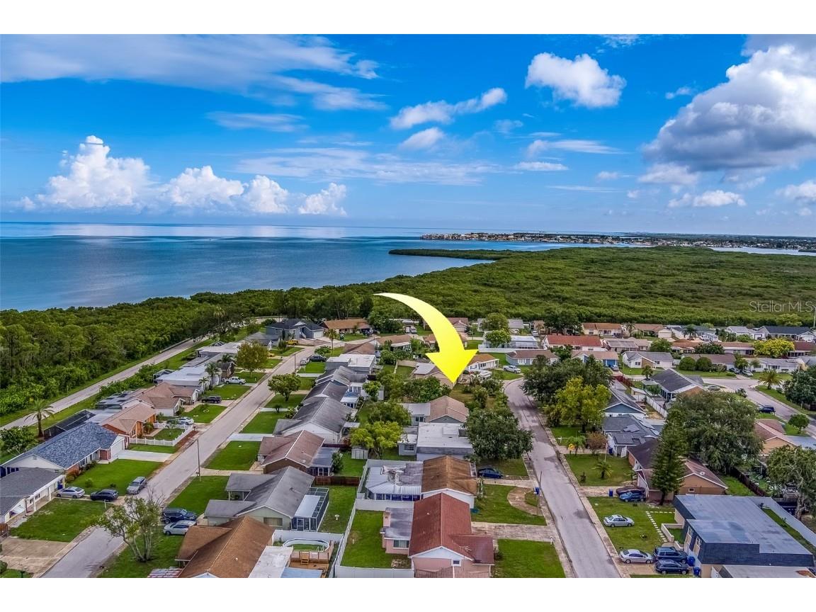 3631 Rockaway Drive Holiday FL 34691 TB8408932 image16