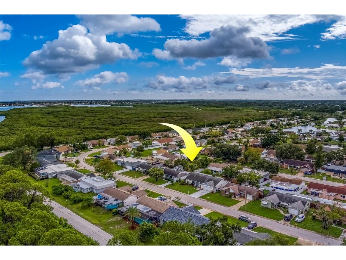 3631 Rockaway Drive Holiday FL 34691 TB8408932 image17