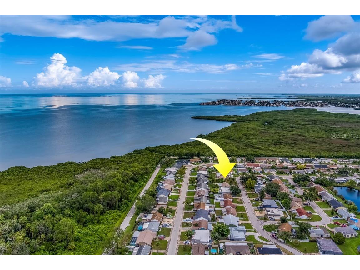 3631 Rockaway Drive Holiday FL 34691 TB8408932 image2