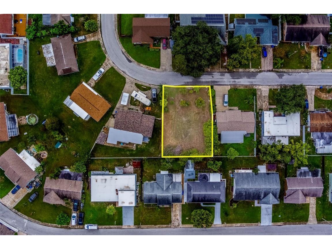 3631 Rockaway Drive Holiday FL 34691 TB8408932 image4