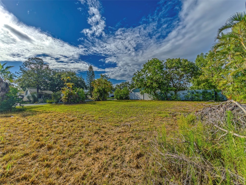 3631 Rockaway Drive Holiday FL 34691 TB8408932 image8