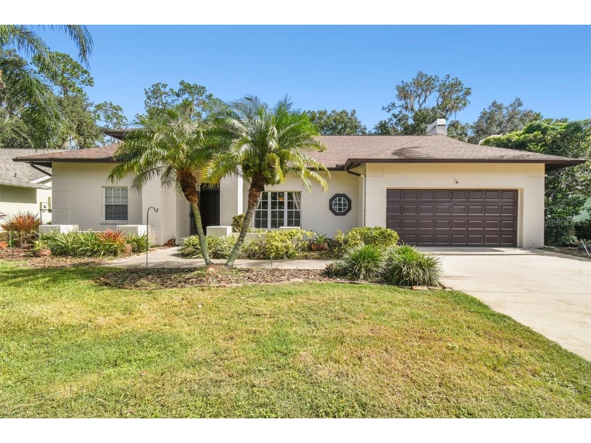 3632 Cold Creek Drive Valrico FL 33596 T3529449 image1