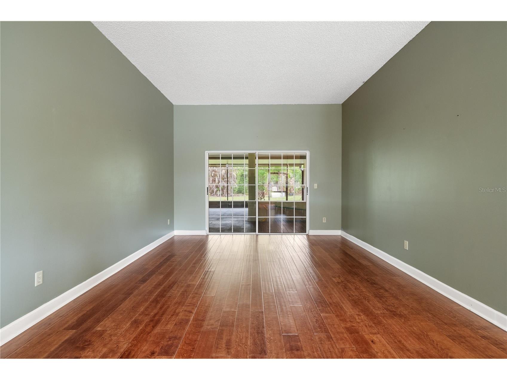 3632 Cold Creek Drive Valrico FL 33596 TB8497601 image15