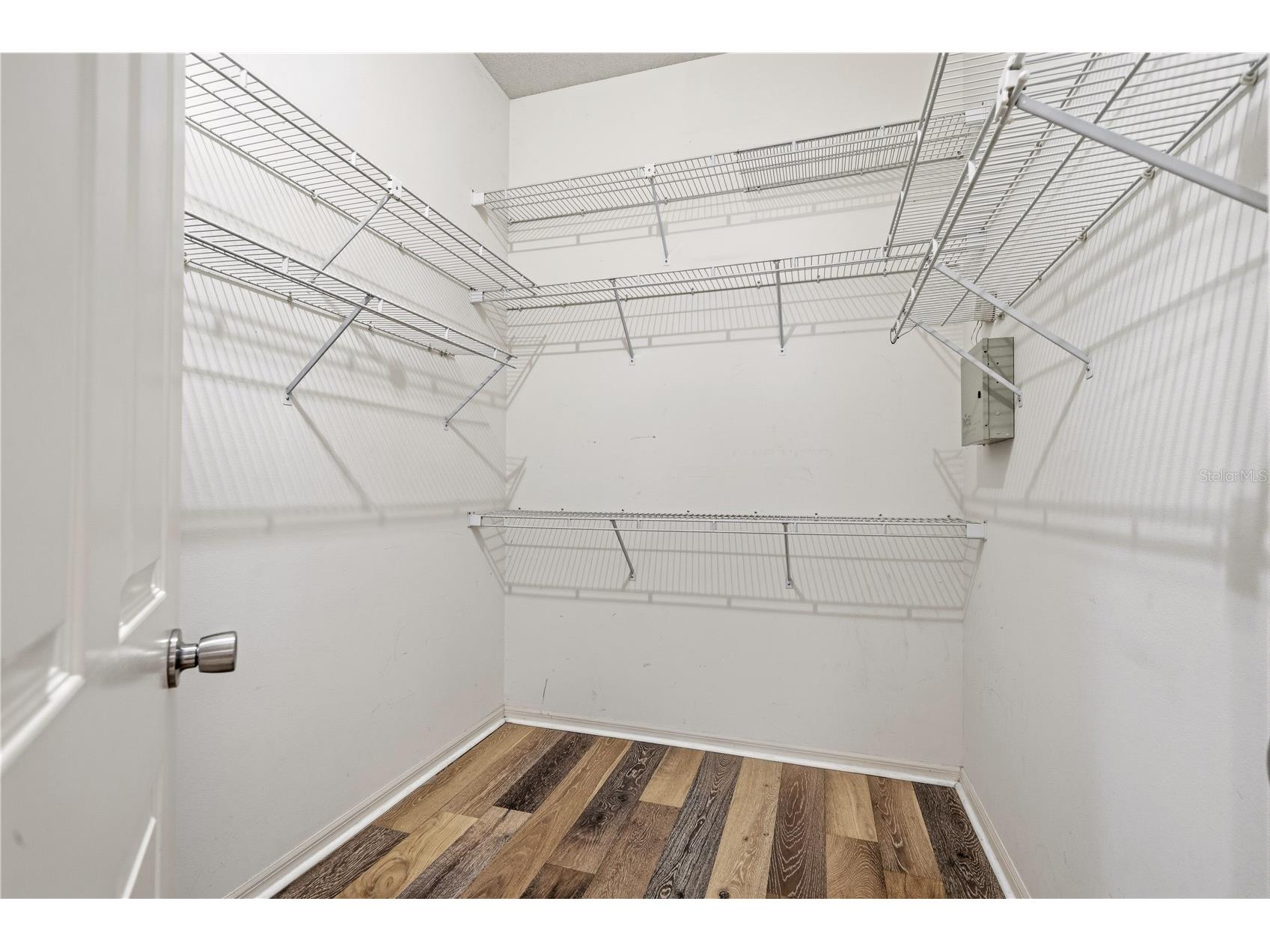 3632 Cold Creek Drive Valrico FL 33596 TB8497601 image23