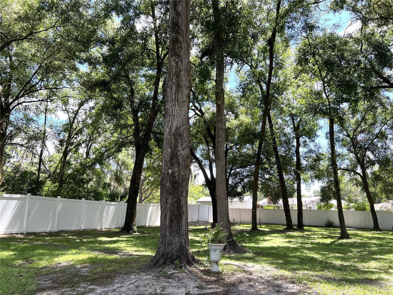 36320 Piney Ridge Boulevard Fruitland Park FL 34731 S5152965 image40