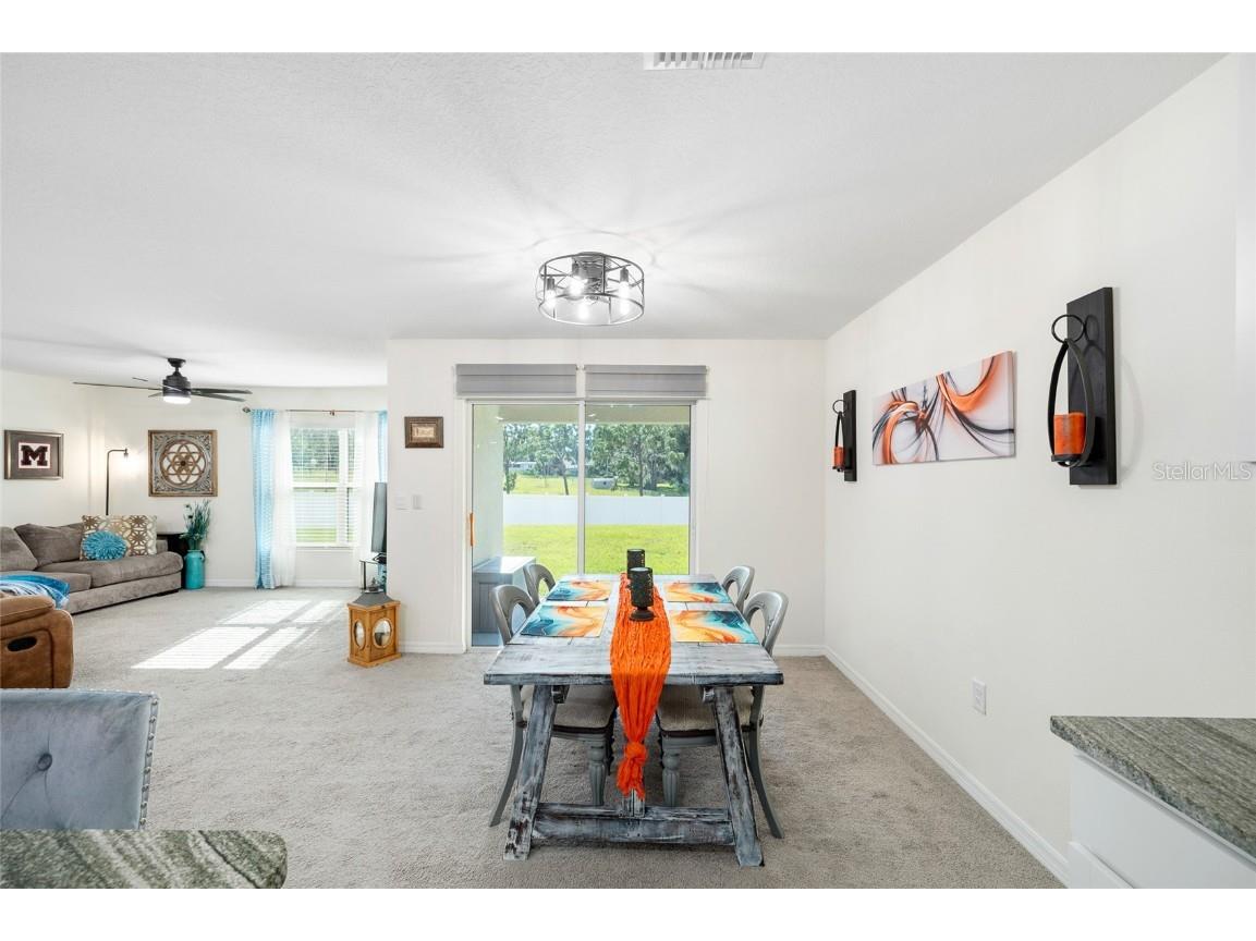 36326 Spanish Rose Drive Dade City FL 33525 TB8409693 image11