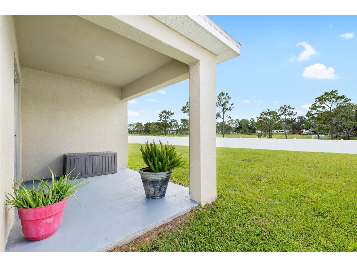 36326 Spanish Rose Drive Dade City FL 33525 TB8409693 image22