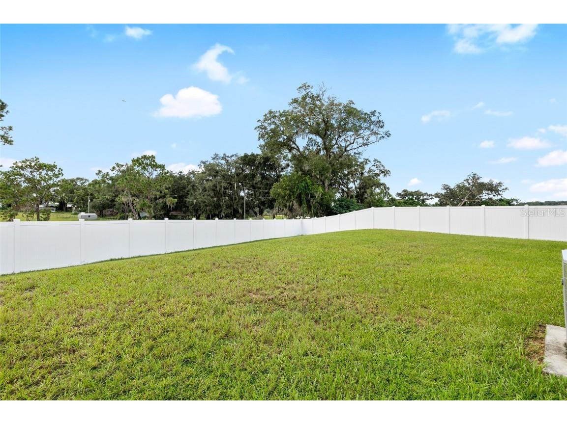 36326 Spanish Rose Drive Dade City FL 33525 TB8409693 image24