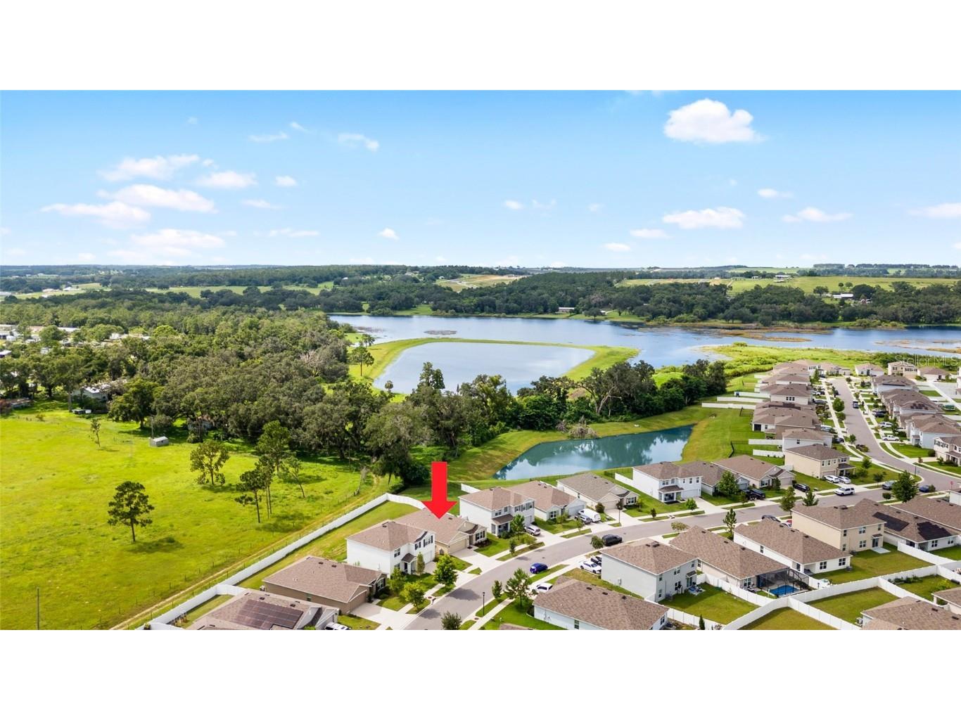 36326 Spanish Rose Drive Dade City FL 33525 TB8409693 image31