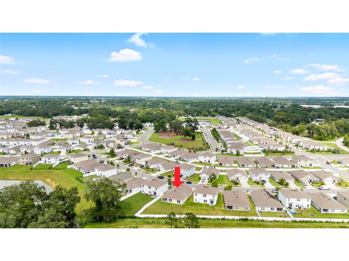 36326 Spanish Rose Drive Dade City FL 33525 TB8409693 image32