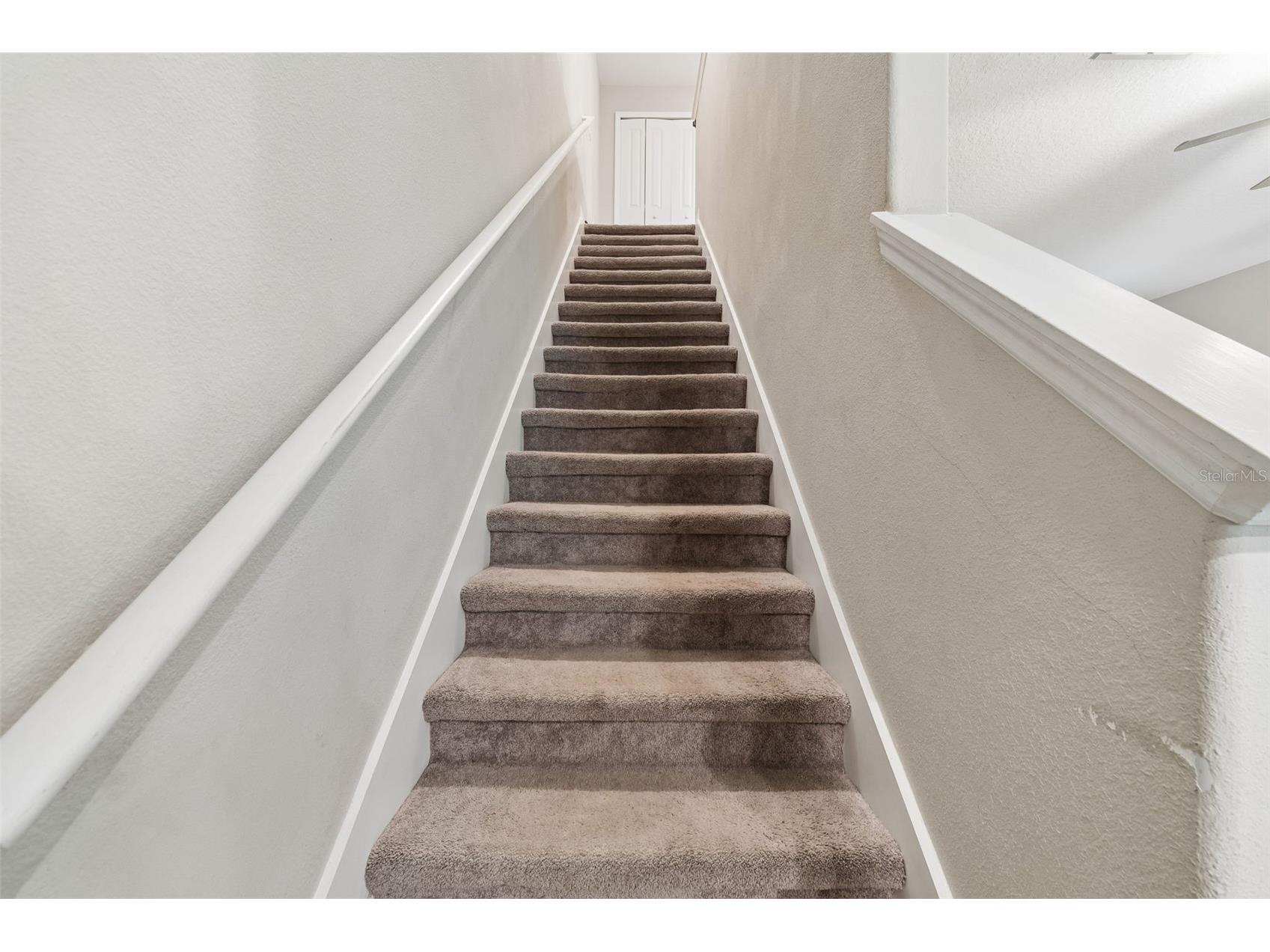 3633 Bellmeade Court Wesley Chapel FL 33543 TB8497578 image22