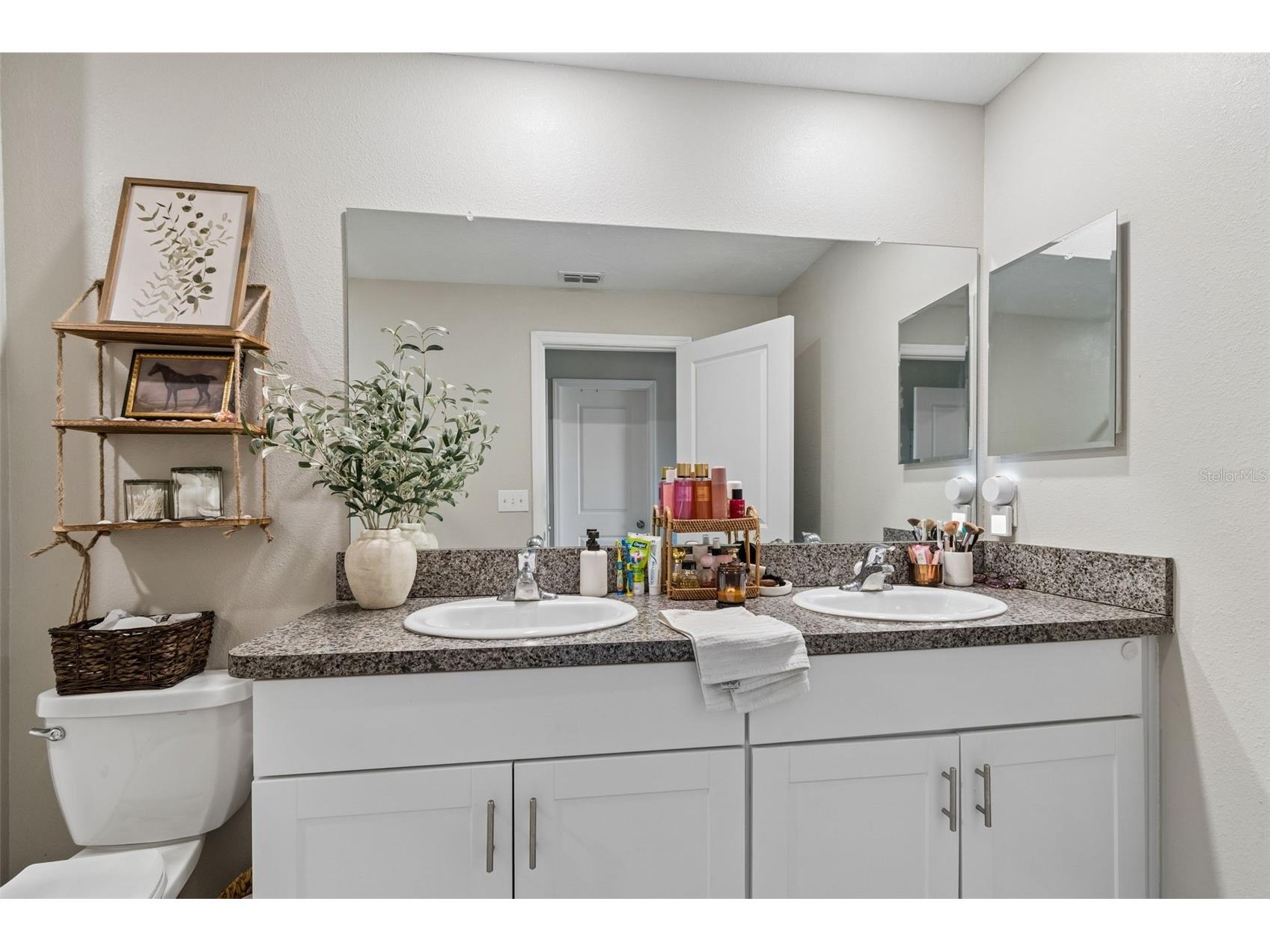 3633 Bellmeade Court Wesley Chapel FL 33543 TB8497578 image28