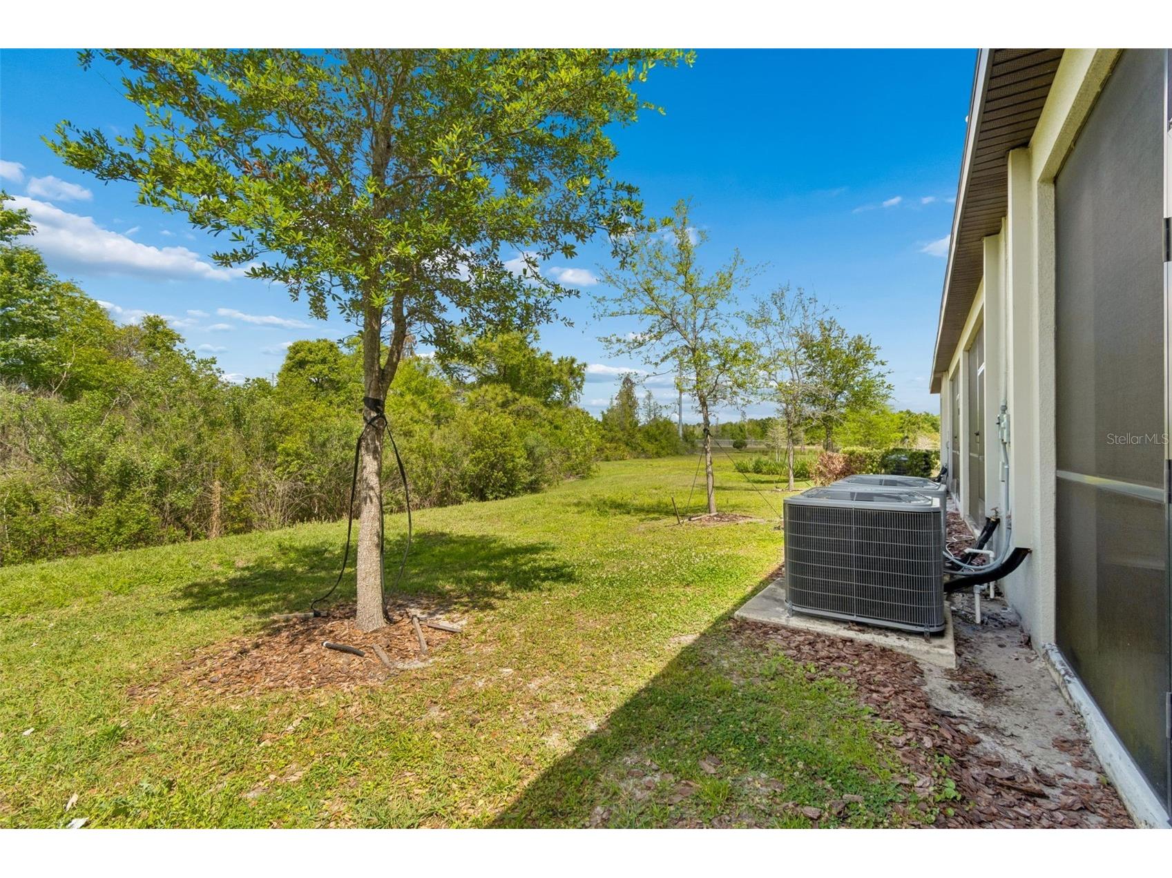 3633 Bellmeade Court Wesley Chapel FL 33543 TB8497578 image36
