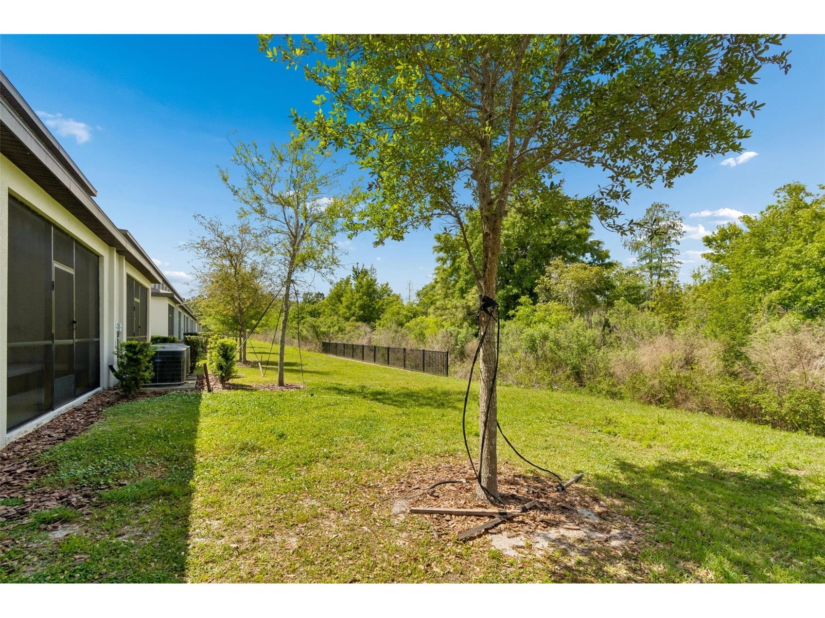 3633 Bellmeade Court Wesley Chapel FL 33543 TB8497578 image39