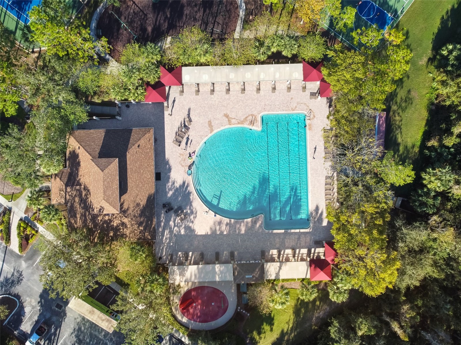 3633 Bellmeade Court Wesley Chapel FL 33543 TB8497578 image68