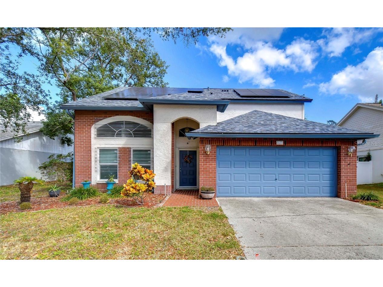 3633 Chatham Drive Palm Harbor FL 34684 TB8316704 image1