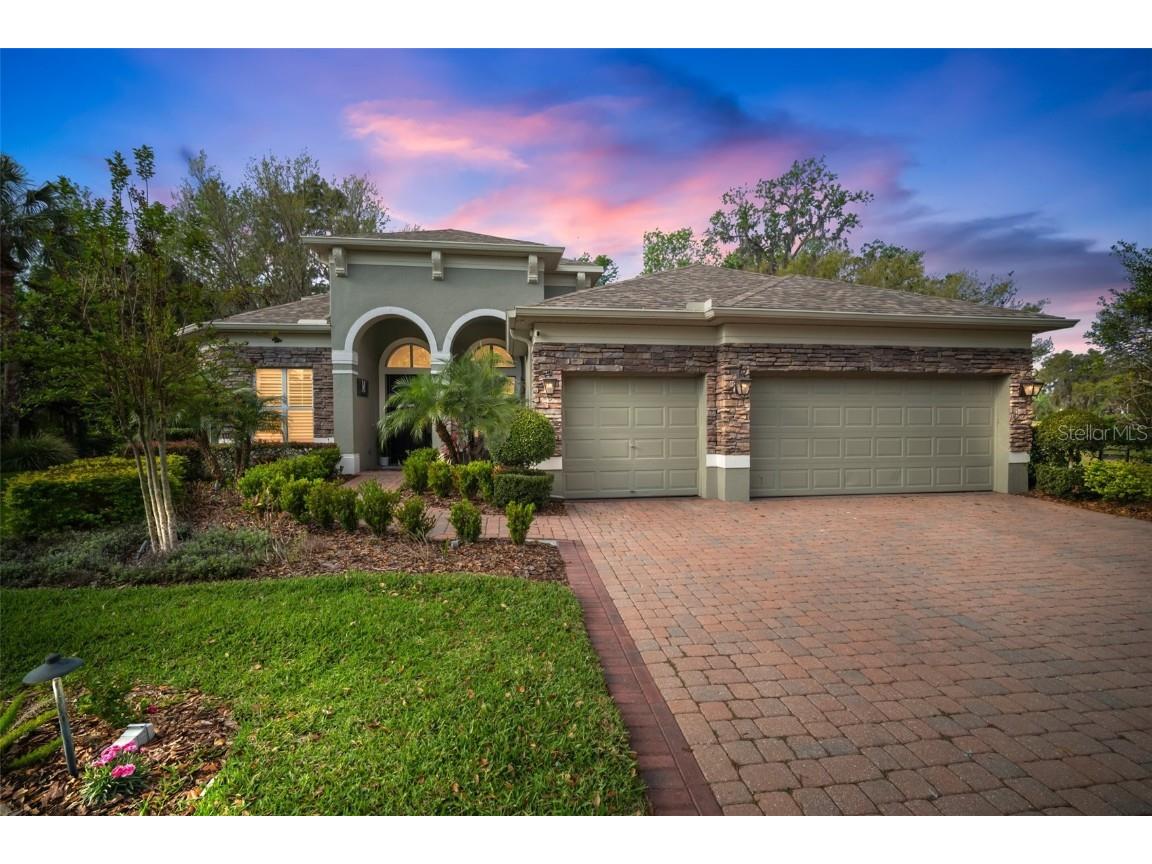 3633 Cordgrass Drive Valrico FL 33596 TB8364472 image1