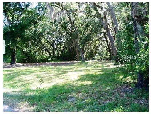 3633 Panther Path Road Lutz FL 33559 T3397006 image1