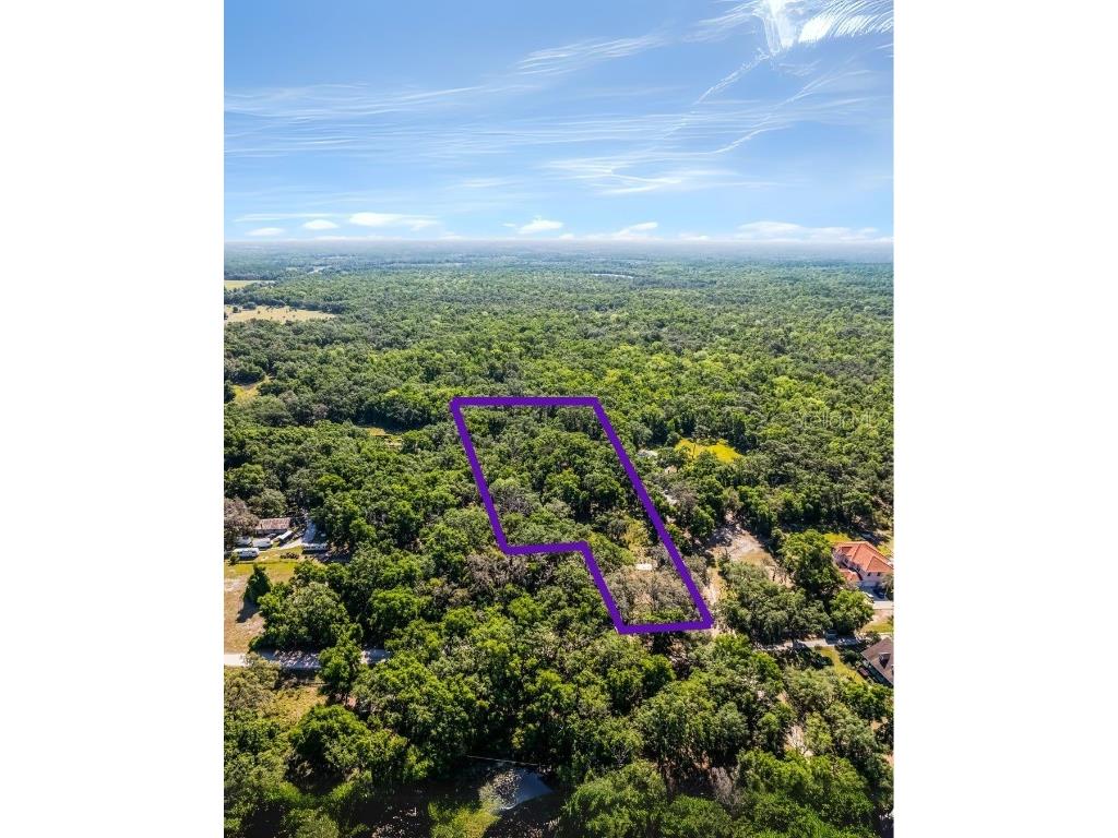 3633 Panther Path Road Lutz FL 33559 G5095860 image1