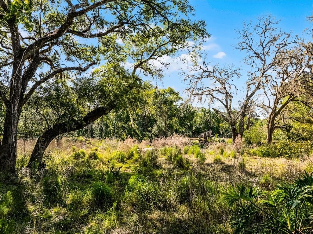 3633 Panther Path Road Lutz FL 33559 G5095860 image10