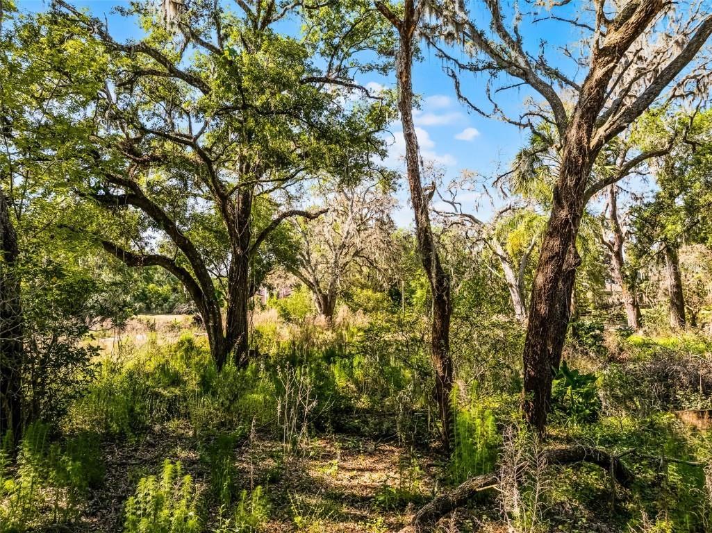 3633 Panther Path Road Lutz FL 33559 G5095860 image11