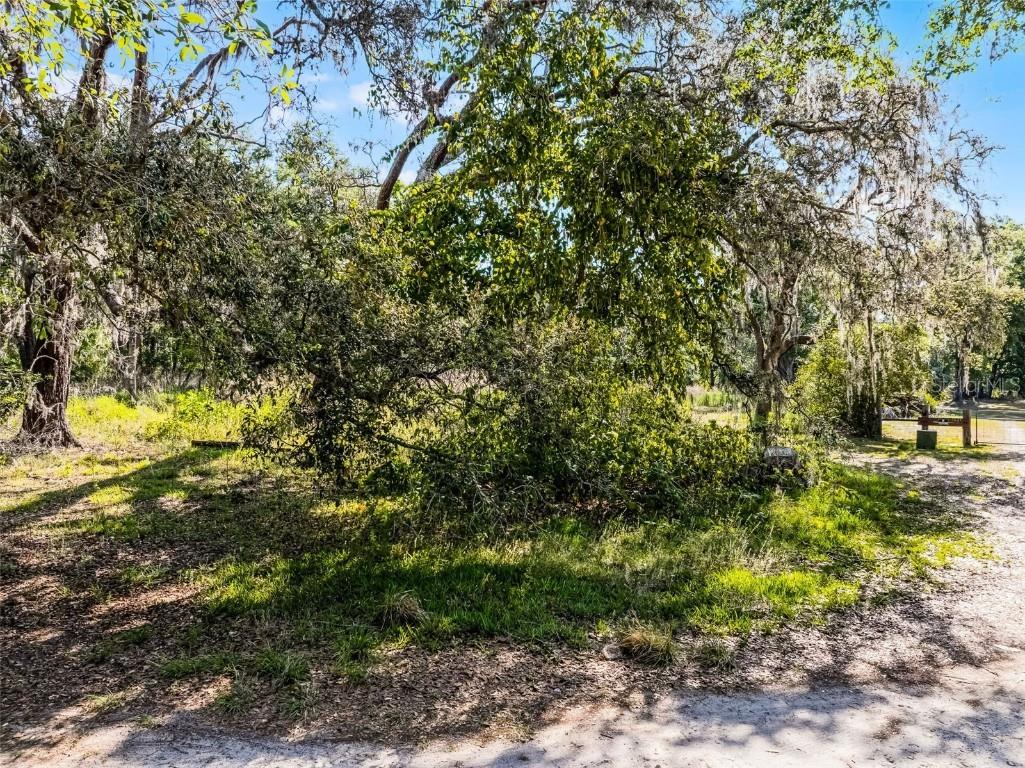 3633 Panther Path Road Lutz FL 33559 G5095860 image12