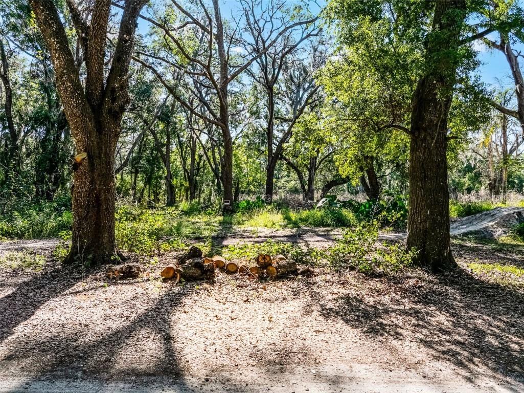 3633 Panther Path Road Lutz FL 33559 G5095860 image13