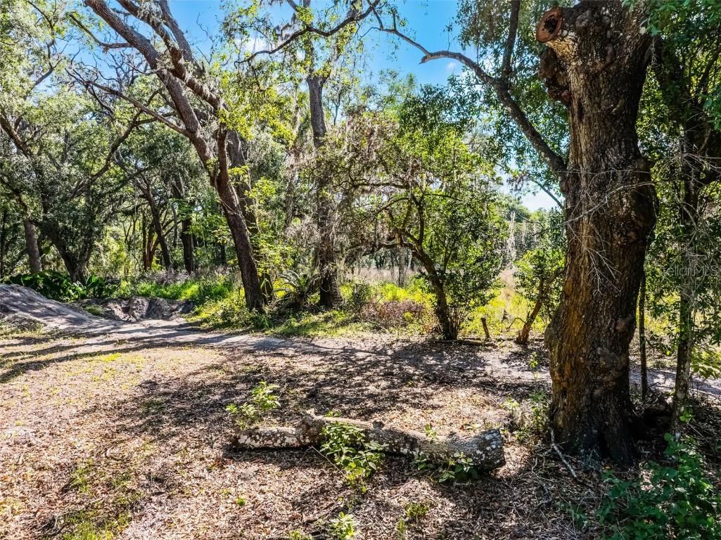 3633 Panther Path Road Lutz FL 33559 G5095860 image14