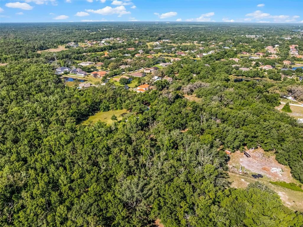 3633 Panther Path Road Lutz FL 33559 G5095860 image16