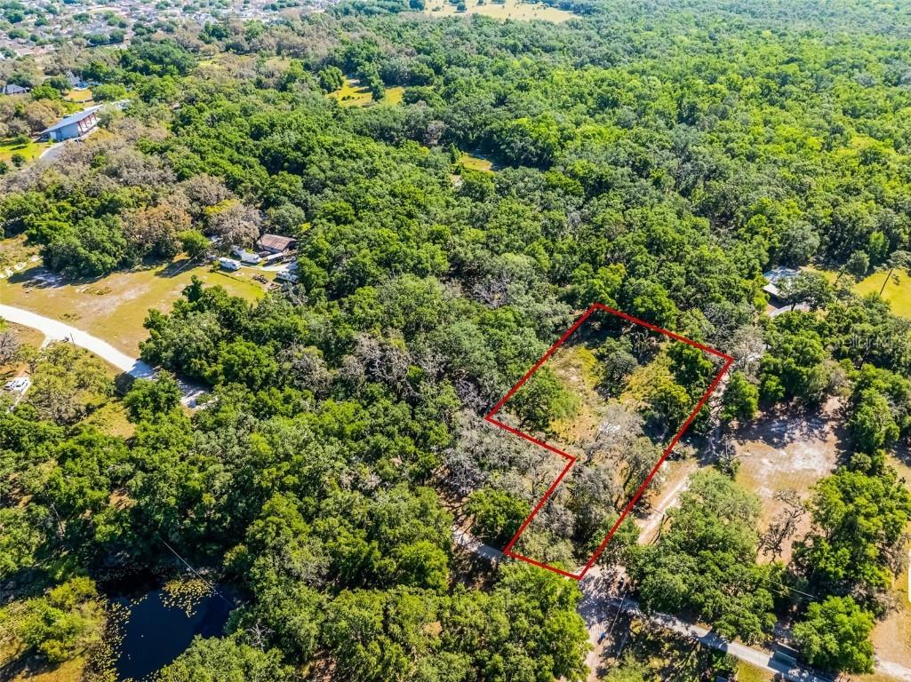 3633 Panther Path Road Lutz FL 33559 G5095860 image17