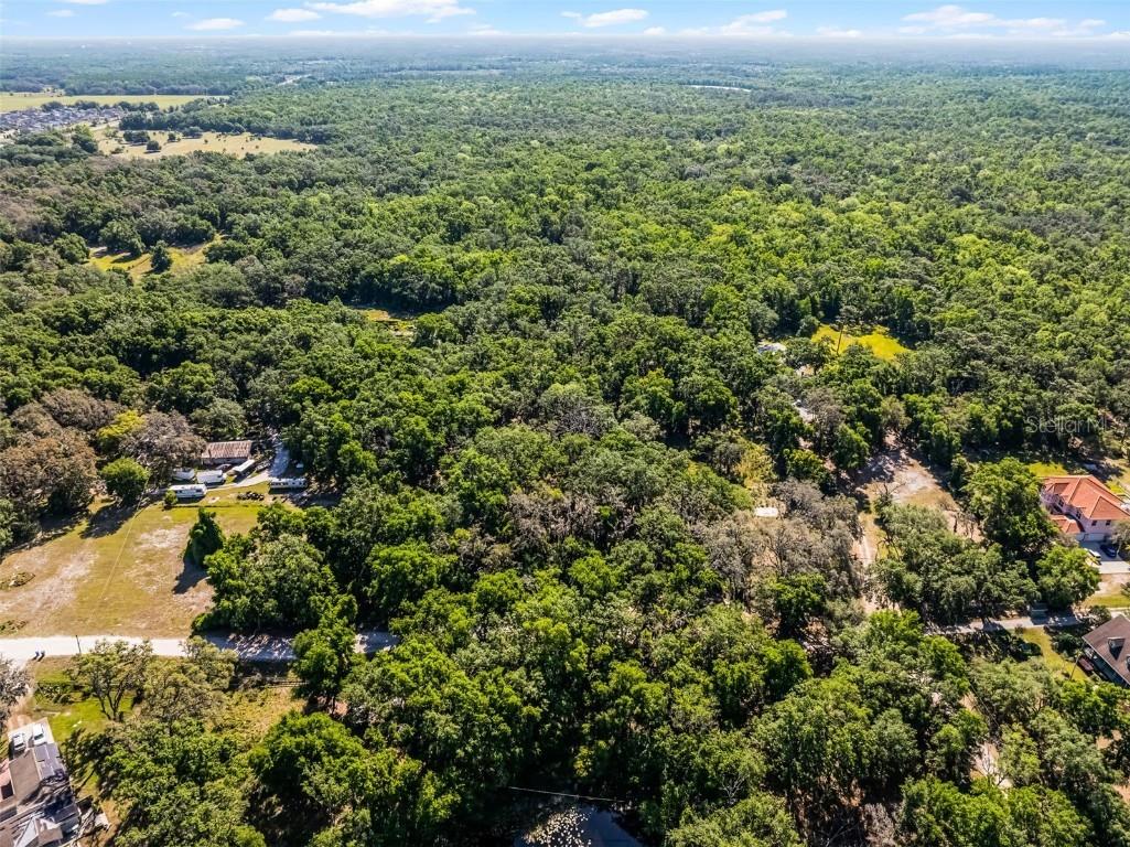 3633 Panther Path Road Lutz FL 33559 G5095860 image18