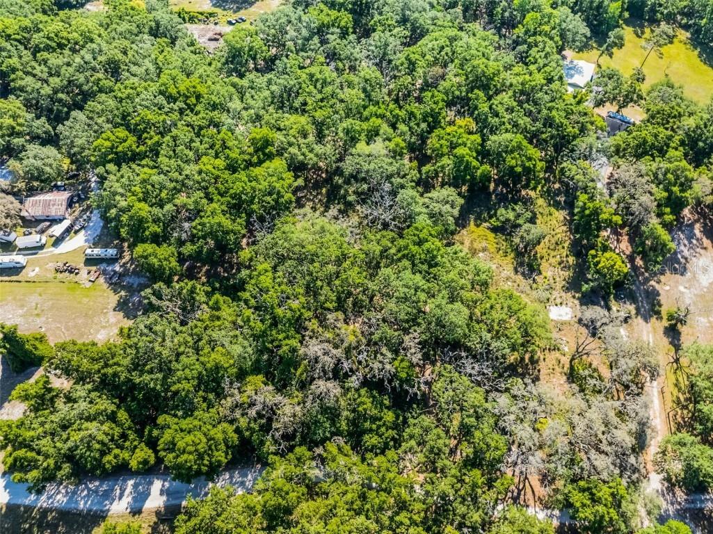 3633 Panther Path Road Lutz FL 33559 G5095860 image22