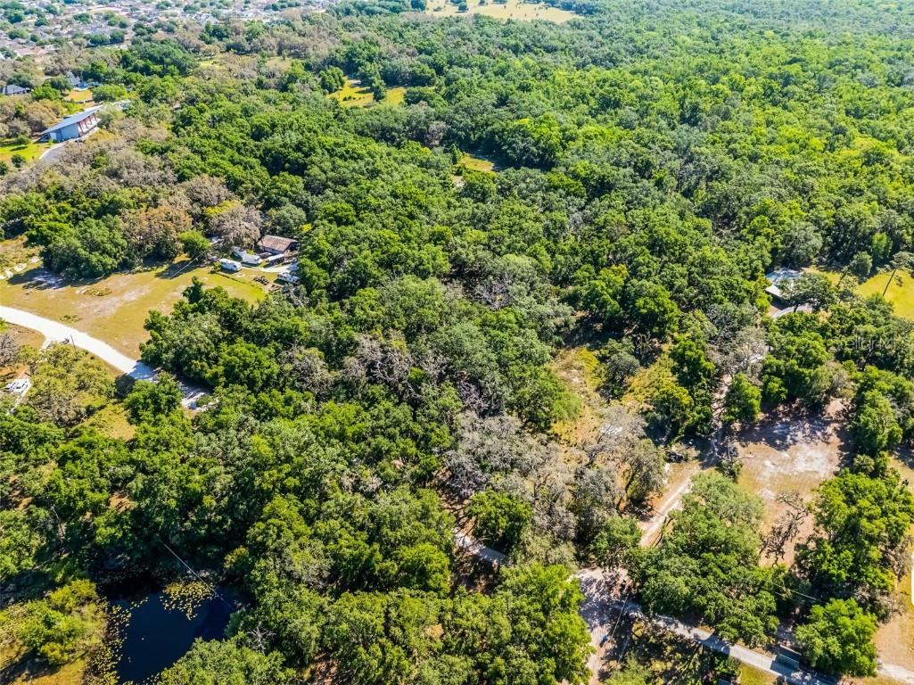 3633 Panther Path Road Lutz FL 33559 G5095860 image3