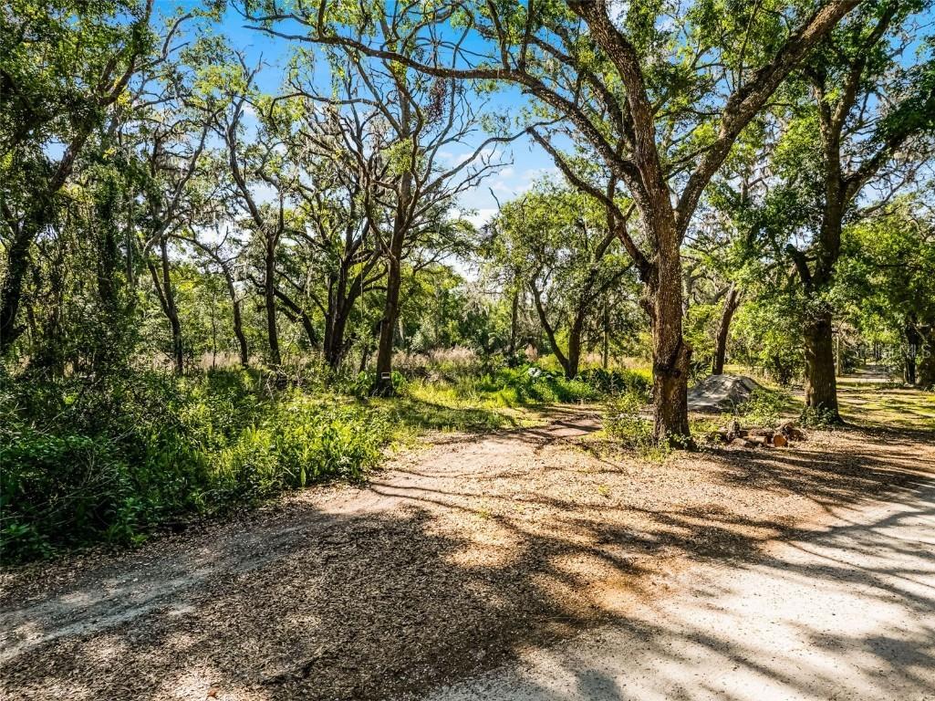 3633 Panther Path Road Lutz FL 33559 G5095860 image5