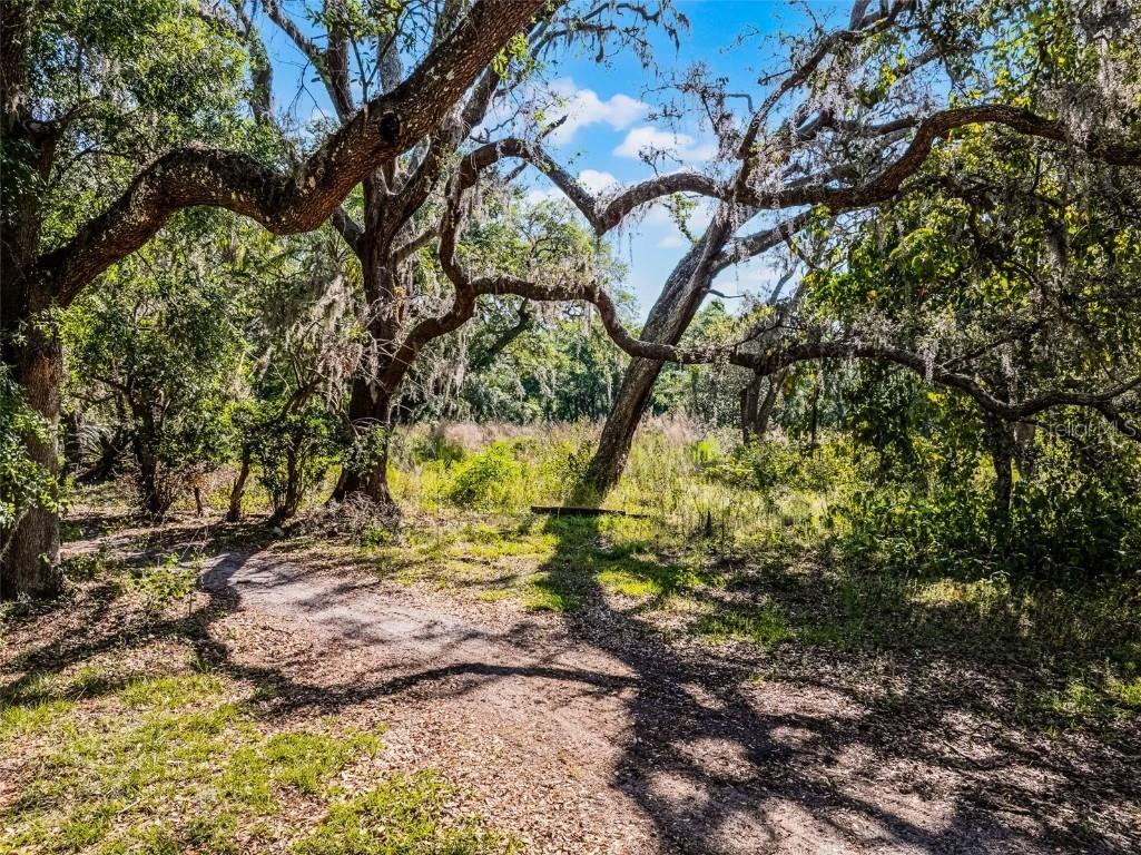 3633 Panther Path Road Lutz FL 33559 G5095860 image6