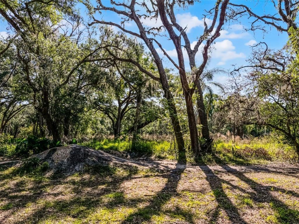 3633 Panther Path Road Lutz FL 33559 G5095860 image7