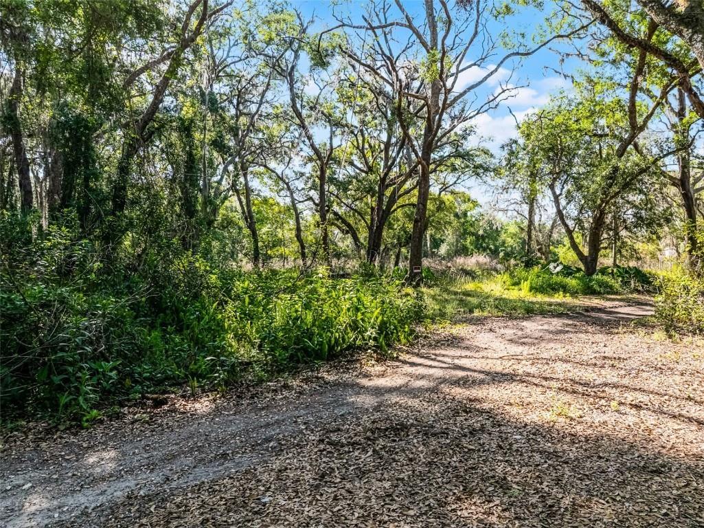 3633 Panther Path Road Lutz FL 33559 G5095860 image8