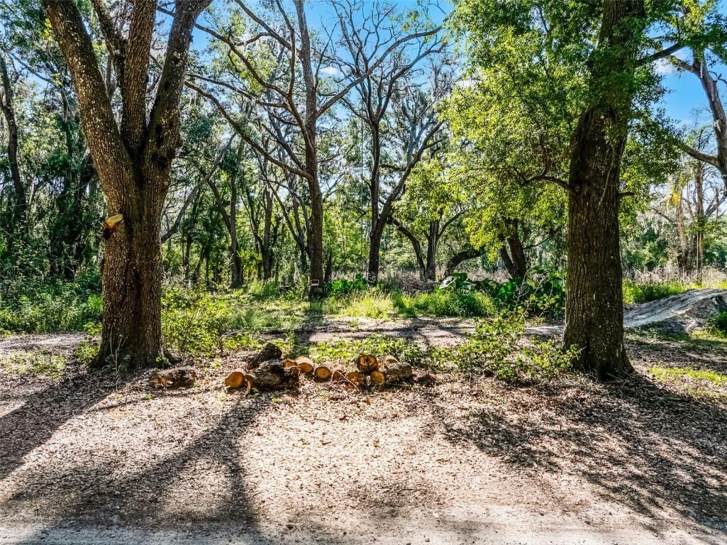 3633 Panther Path Road Lutz FL 33559 G5095860 image9