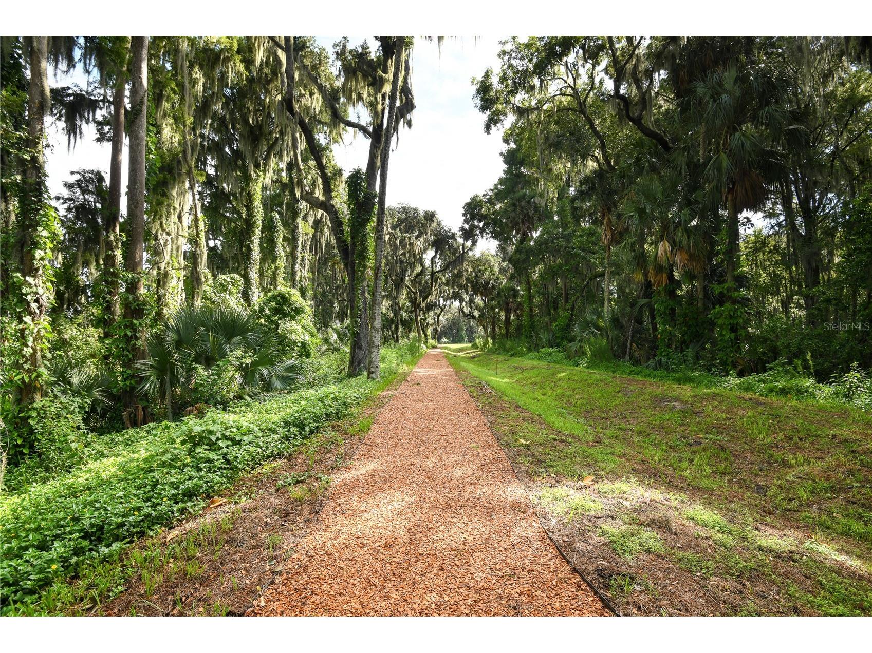 3633 Sublett Loop Tavares FL 32778 S5142753 image31