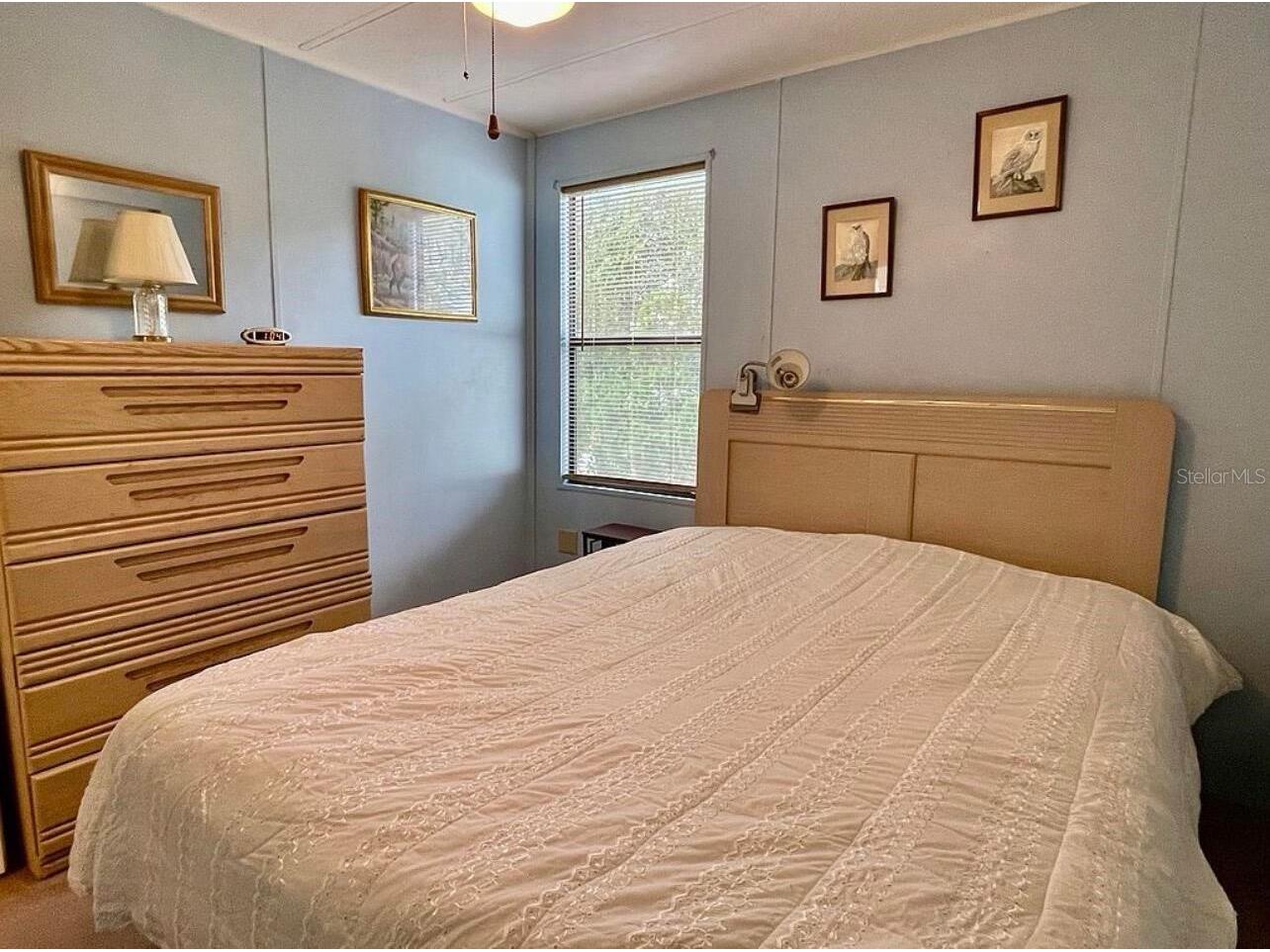 36335 Bonney Drive Zephyrhills FL 33541 O6409206 image19