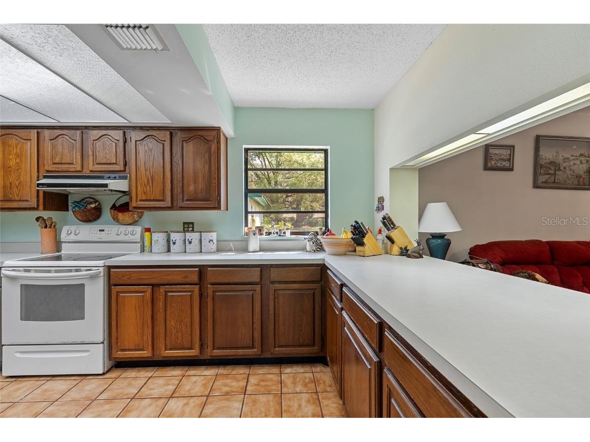 3634 Apfel Road Wesley Chapel FL 33543 O6289798 image14