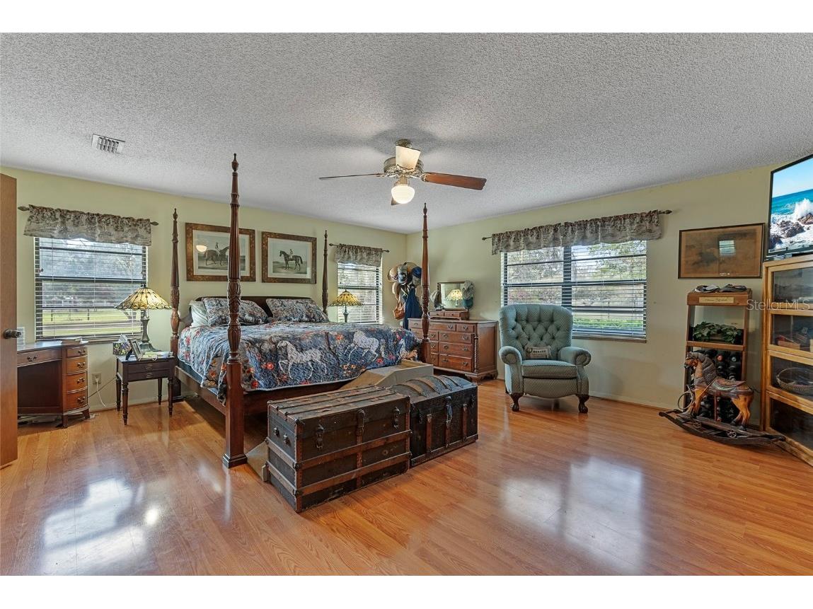 3634 Apfel Road Wesley Chapel FL 33543 O6289798 image15