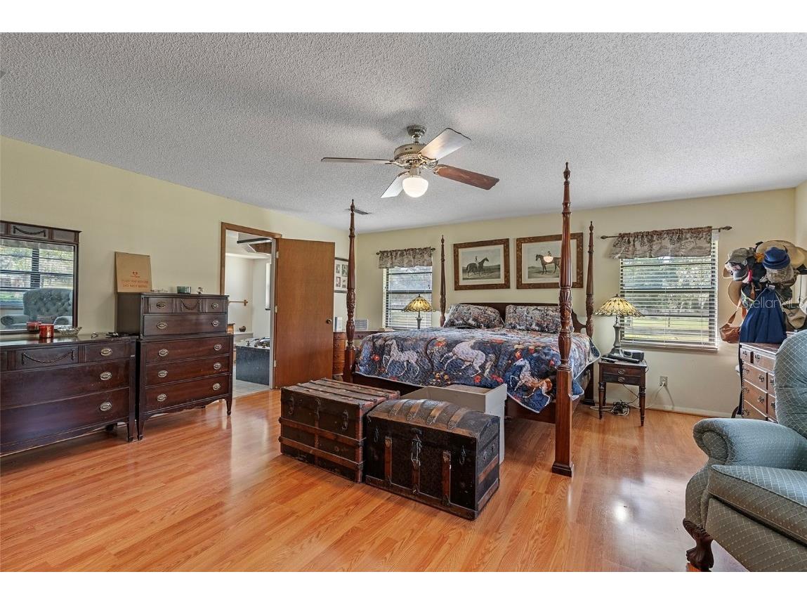 3634 Apfel Road Wesley Chapel FL 33543 O6289798 image16