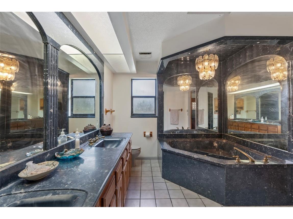 3634 Apfel Road Wesley Chapel FL 33543 O6289798 image17