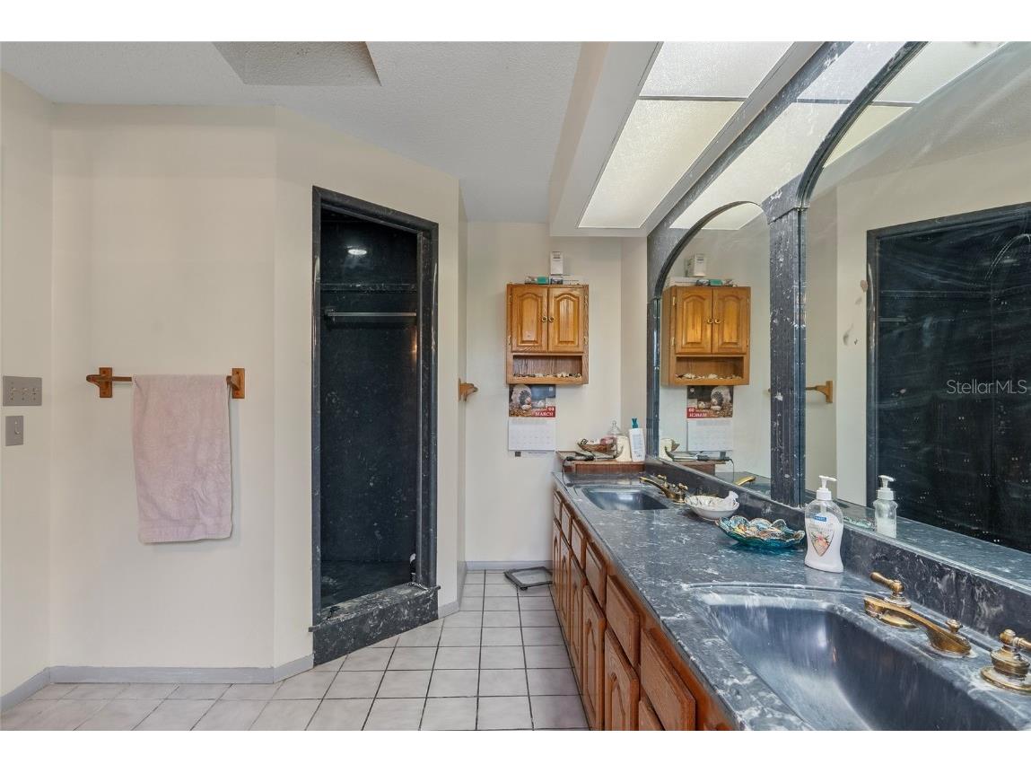 3634 Apfel Road Wesley Chapel FL 33543 O6289798 image19