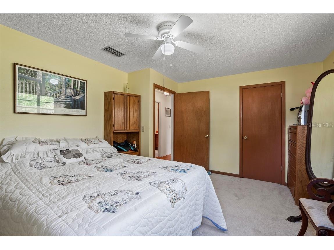 3634 Apfel Road Wesley Chapel FL 33543 O6289798 image21