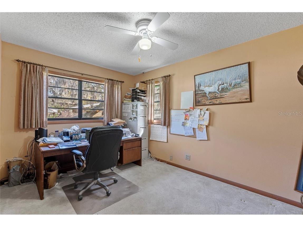 3634 Apfel Road Wesley Chapel FL 33543 O6289798 image22