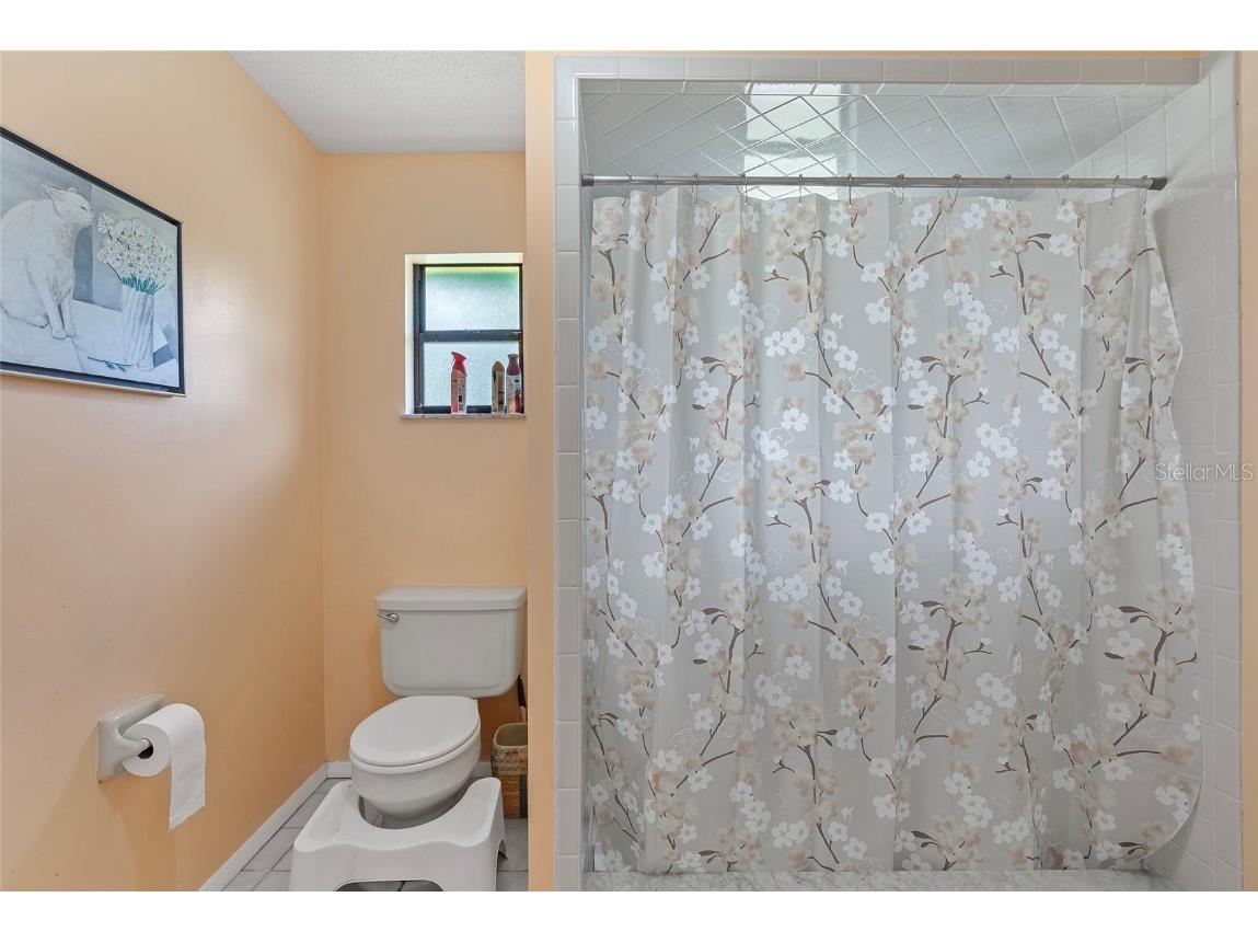 3634 Apfel Road Wesley Chapel FL 33543 O6289798 image23