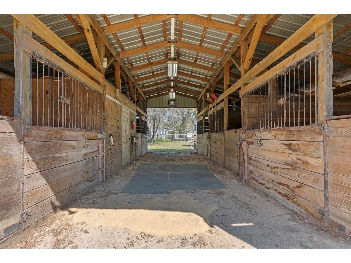 3634 Apfel Road Wesley Chapel FL 33543 O6289798 image36